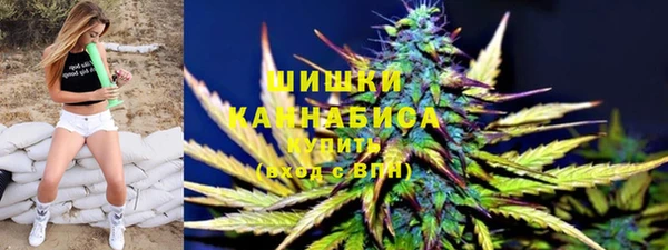 spice Горняк